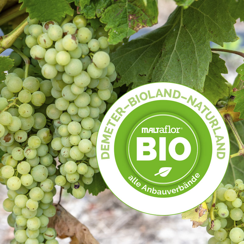 Weinbau mit MALTaflor Biosiegel